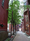 image thumbnail